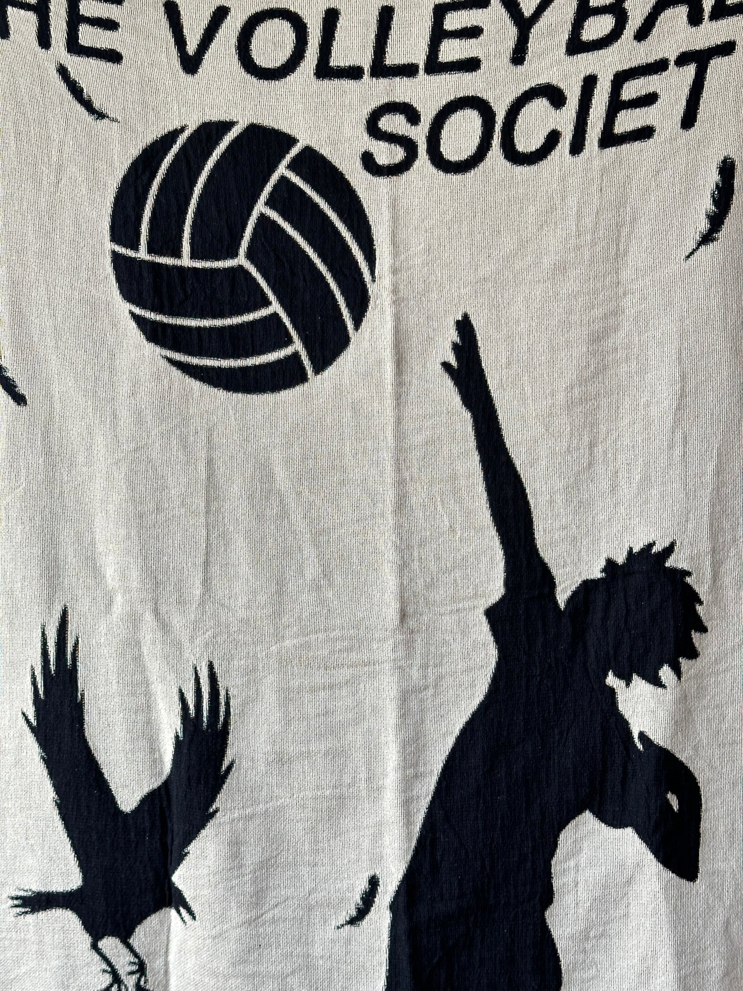 Volleyball Woven Blanket *PRE-ORDER*