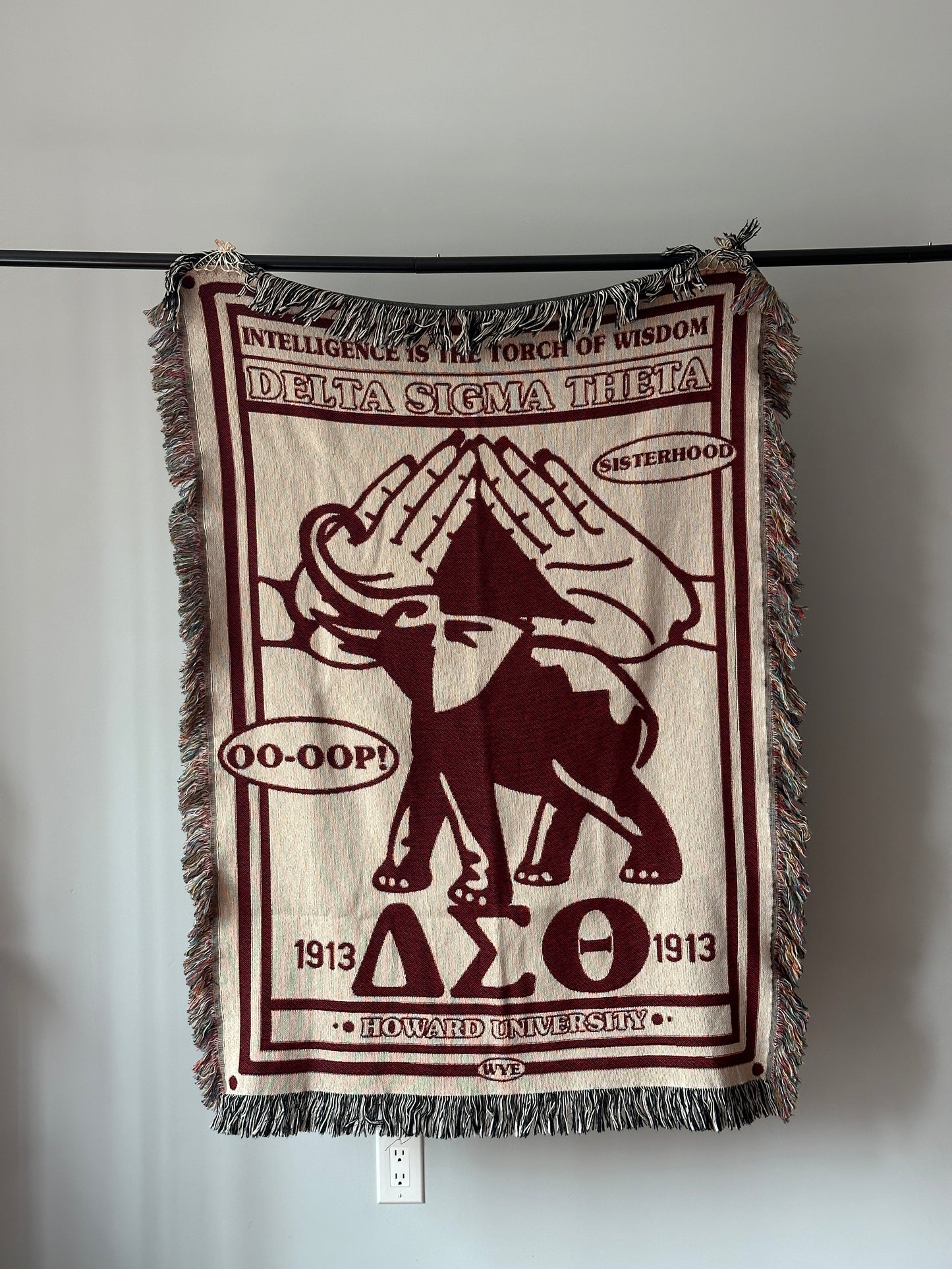 D9 Sorority & Fraternity Woven Blankets *PRE-ORDER*